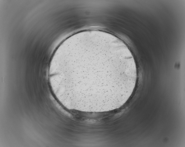 X0000110951420200907311030