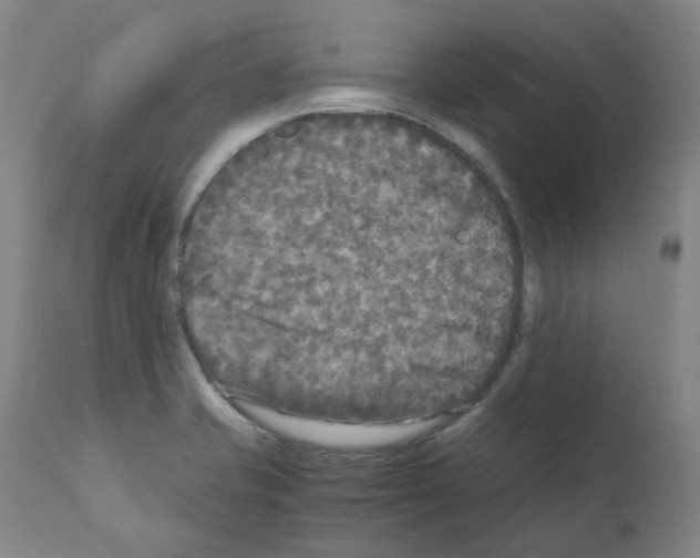 X0000110951421200907311030