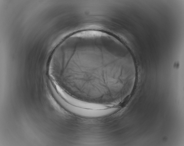 X0000110951422200907311030