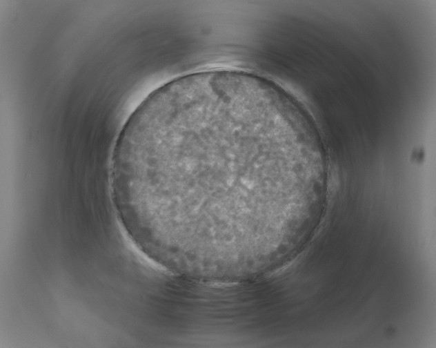 X0000110951423200907311030