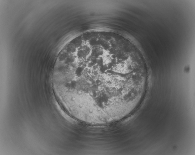 X0000110951425200907311030