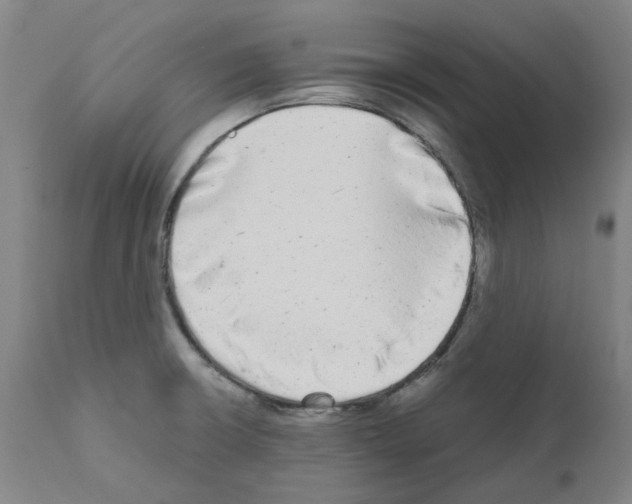 X0000110951426200907311030