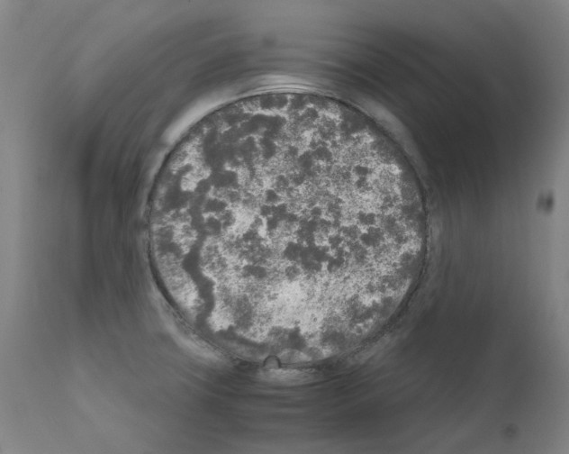 X0000110951427200907311030