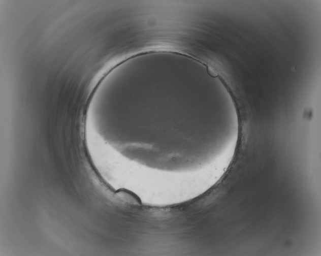 X0000110951428200907311030