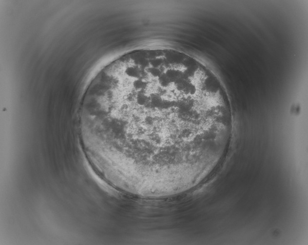 X0000110951429200907311030