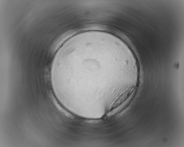 X0000110951433200907311030