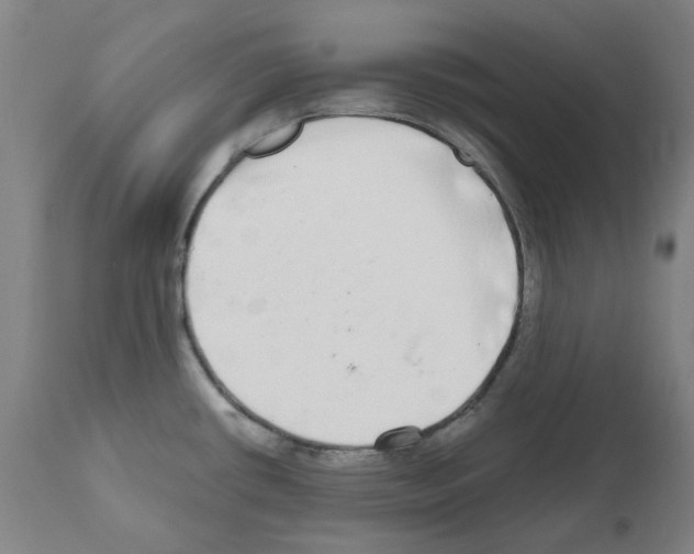 X0000110951434200907311030