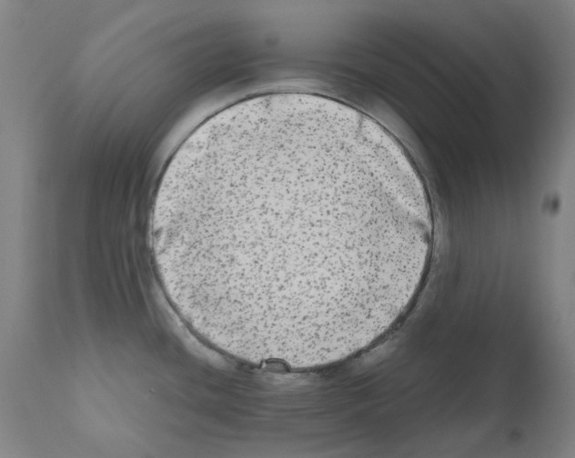 X0000110951436200907311030