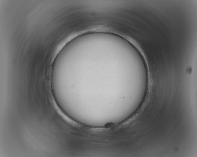 X0000110951437200907311030