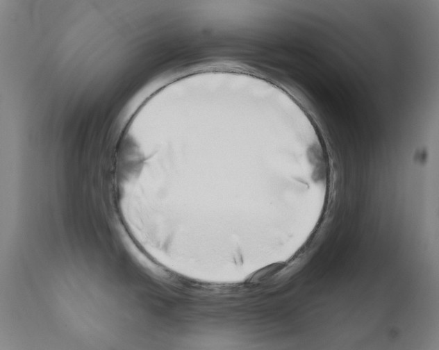 X0000110951438200907311030