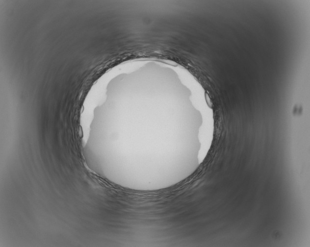 X0000110951441200907311030