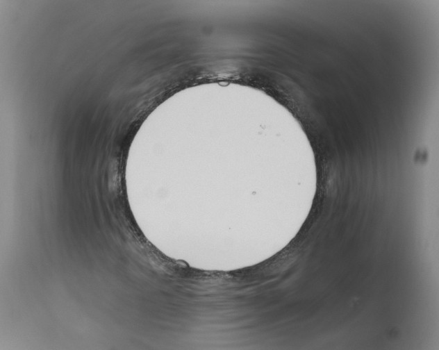 X0000110951442200907311030