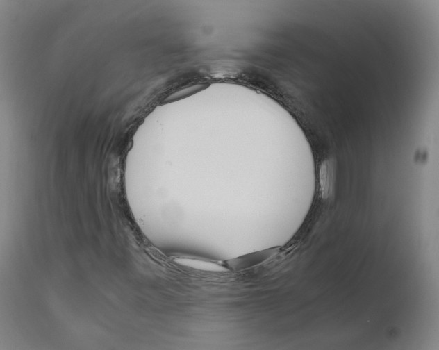 X0000110951443200907311030