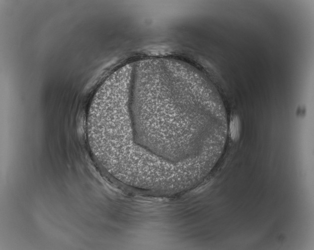 X0000110951444200907311030