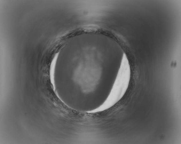 X0000110951445200907311030
