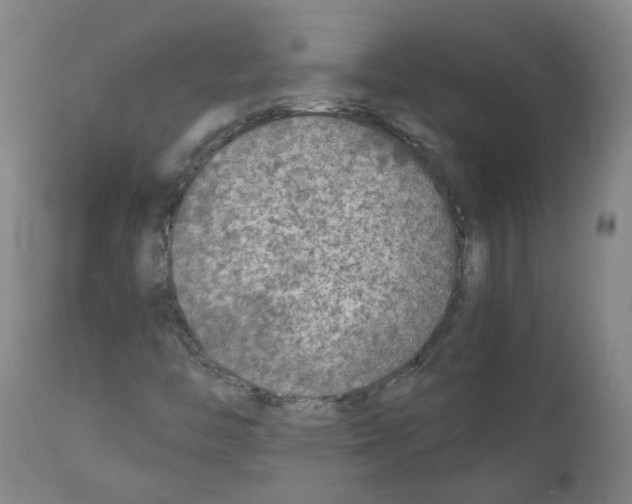 X0000110951446200907311030