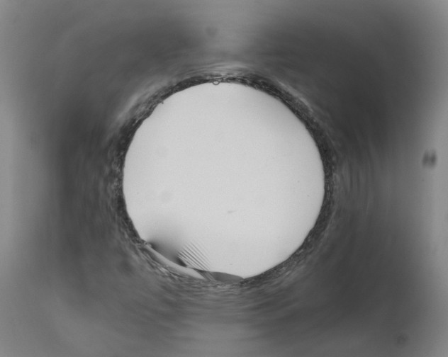 X0000110951447200907311030