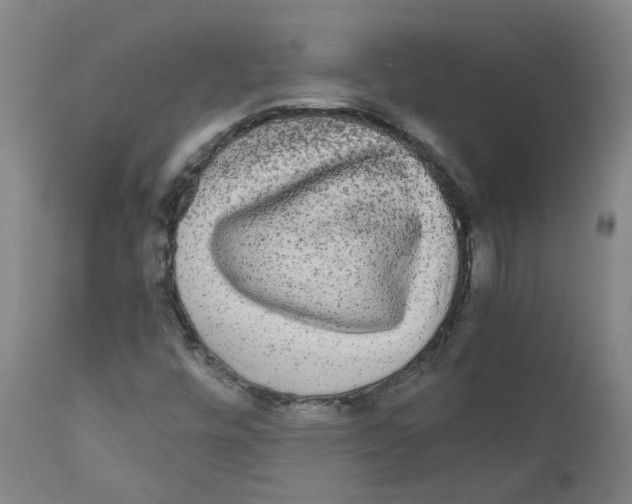 X0000110951448200907311030