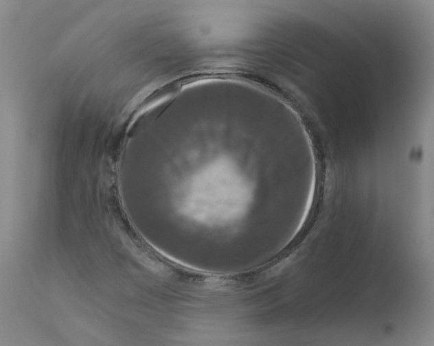 X0000110951449200907311029
