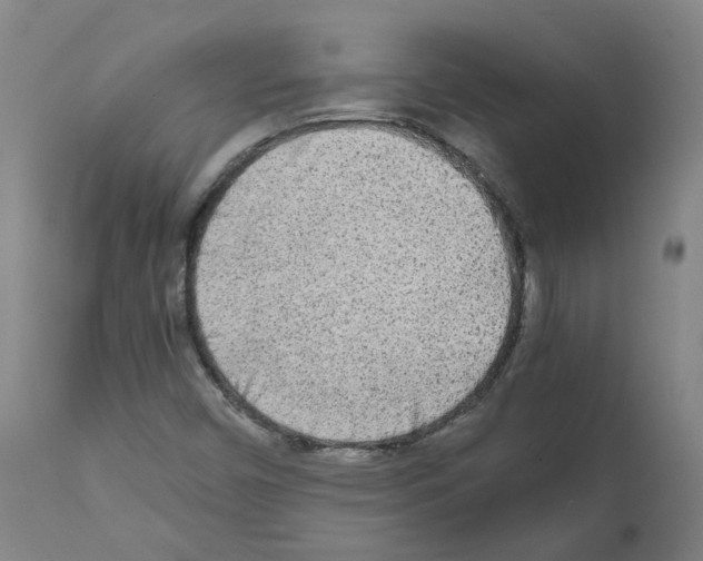 X0000110951450200907311029