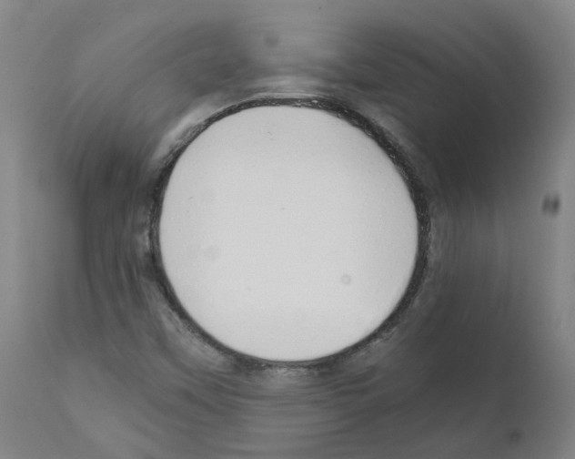 X0000110951451200907311029