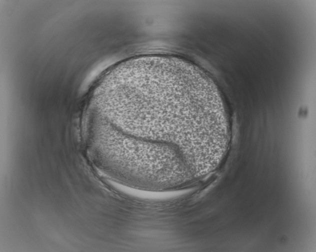 X0000110951453200907311029