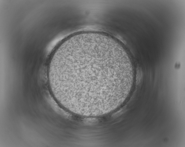 X0000110951454200907311029