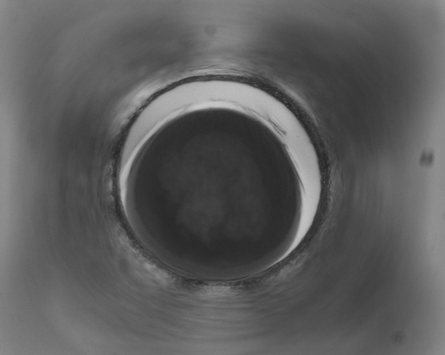 X0000110951455200907311029