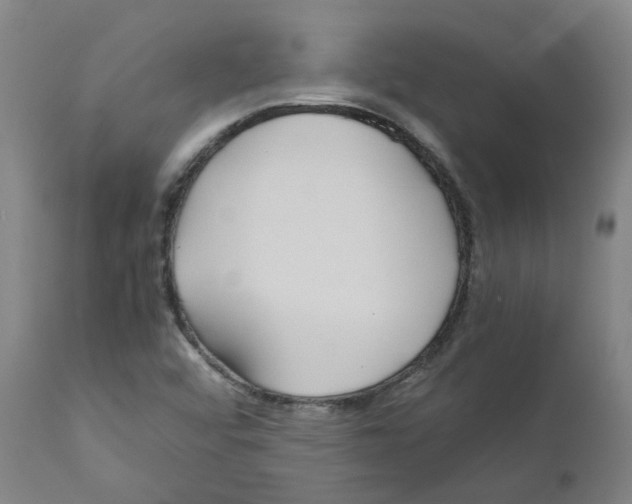 X0000110951456200907311029