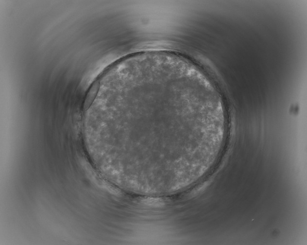 X0000110951457200907311029