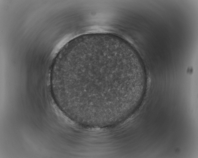 X0000110951459200907311029