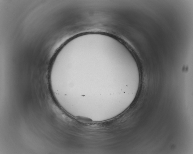 X0000110951460200907311029