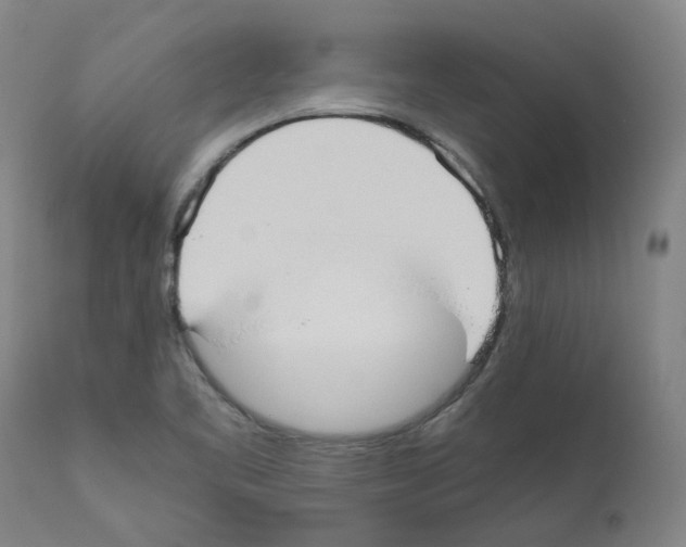 X0000110951461200907311029