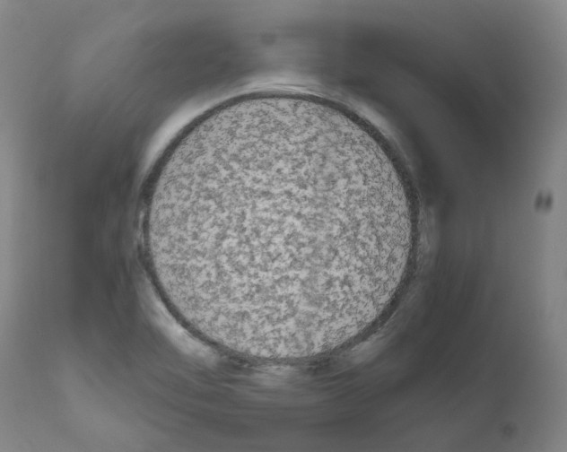 X0000110951462200907311029