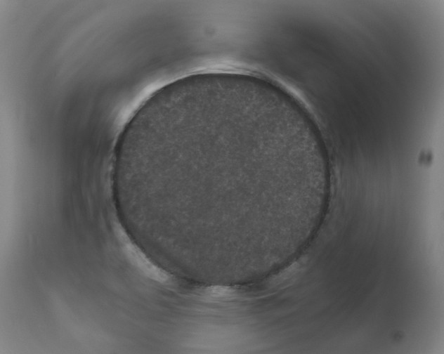 X0000110951463200907311029