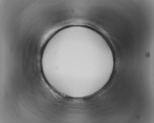 X0000110951464200907311029