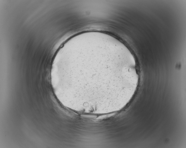 X0000110951465200907311029