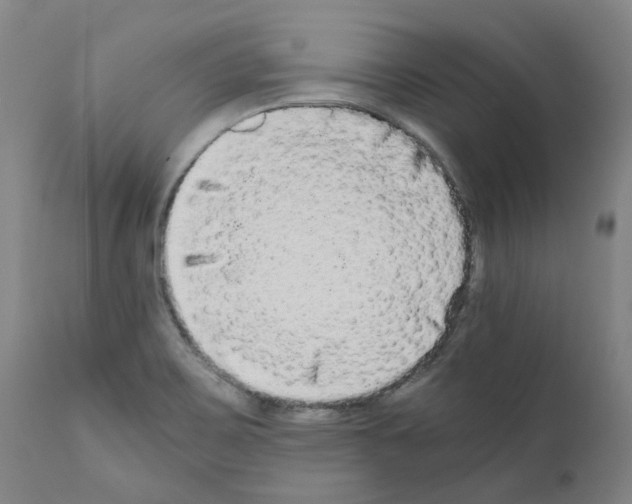X0000110951467200907311029