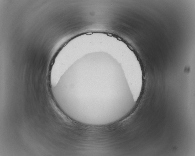 X0000110951469200907311029