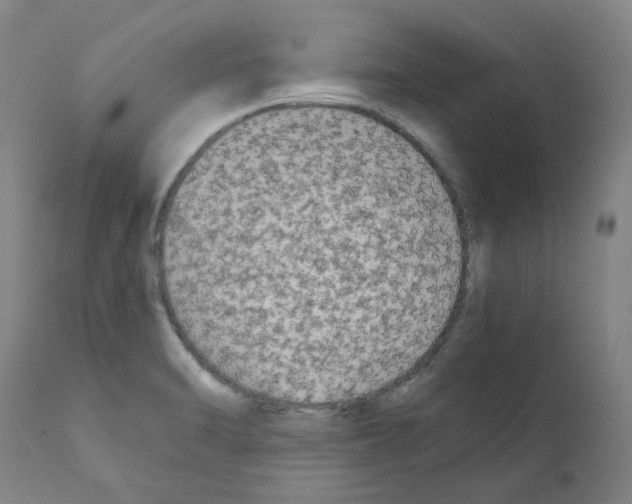 X0000110951470200907311029