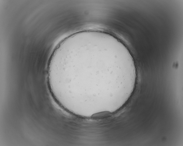 X0000110951471200907311029
