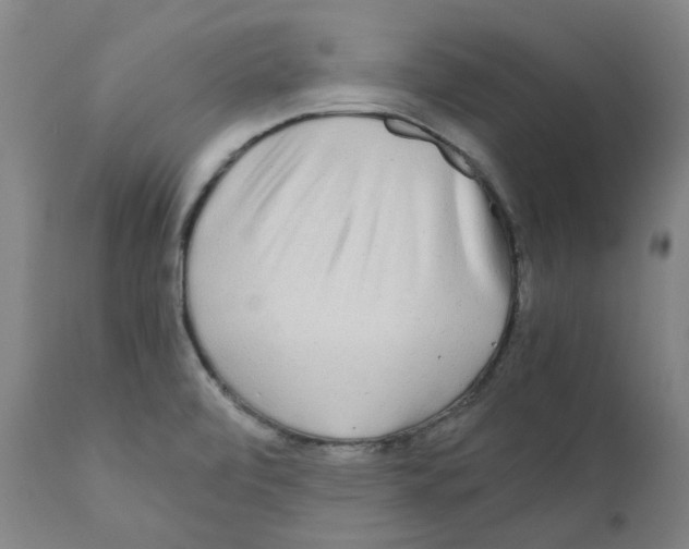 X0000110951472200907311029