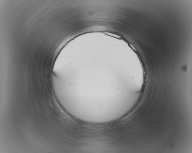 X0000110951473200907311029