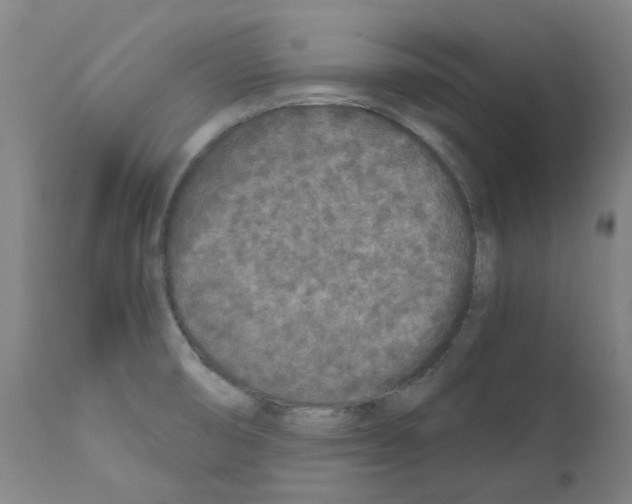 X0000110951474200907311029