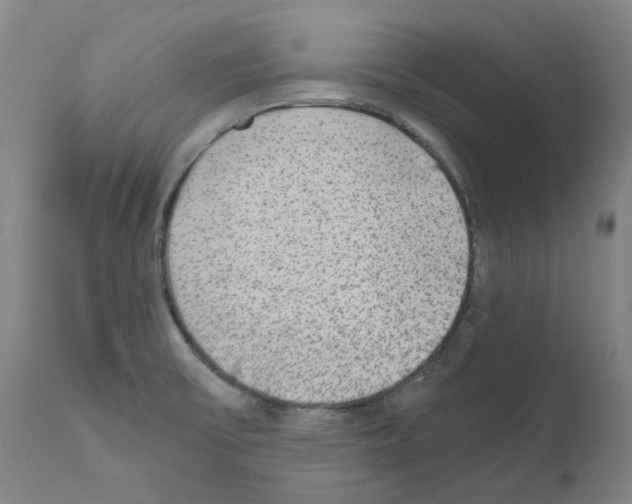 X0000110951475200907311029
