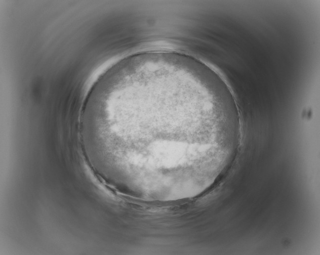 X0000110951477200907311029