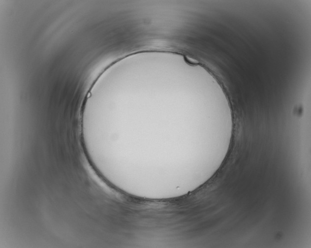 X0000110951479200907311029