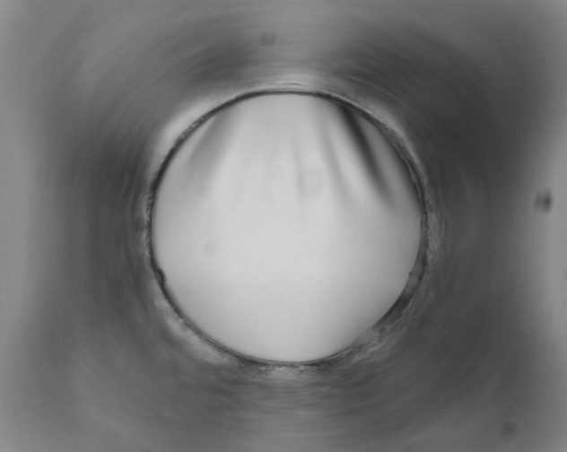 X0000110951480200907311029