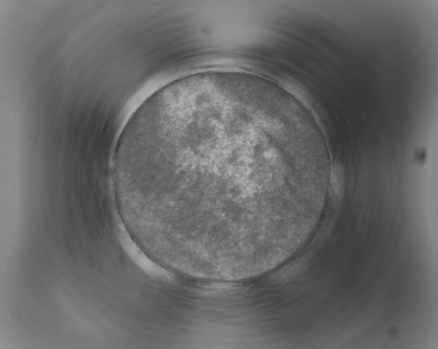 X0000110951482200907311029
