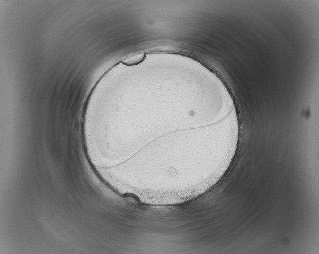 X0000110951483200907311029